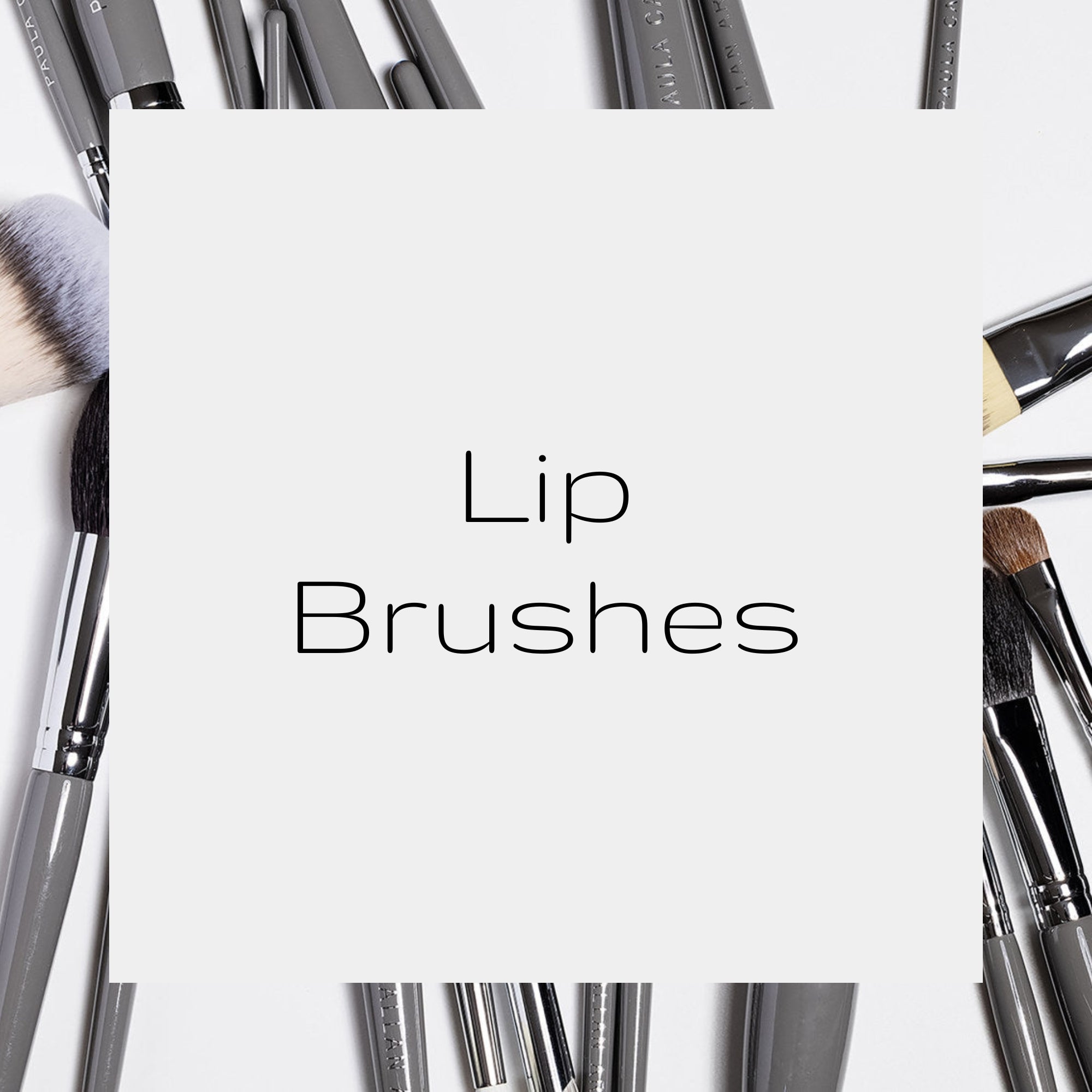 Lip Brushes